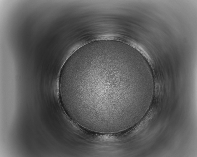 X0000095890994200801181222