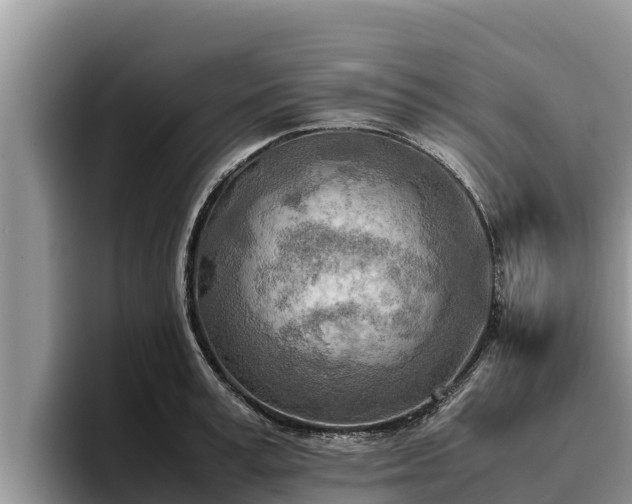 X0000095890995200801181222