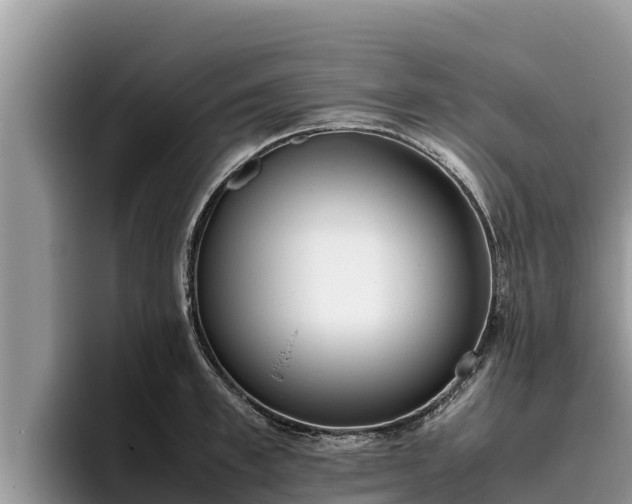 X0000095890997200801181222