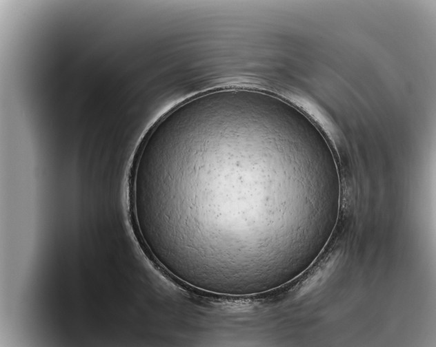 X0000095890999200801181222