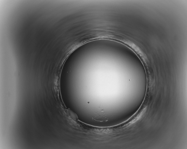 X0000095891001200801181222