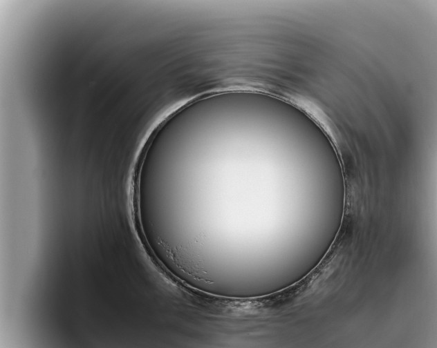 X0000095891003200801181222