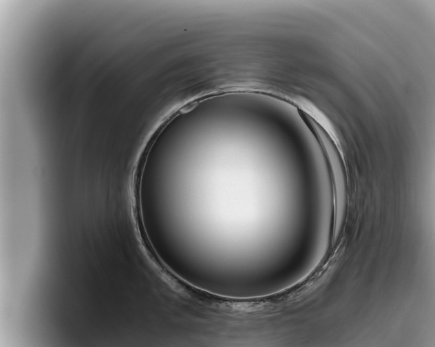 X0000095891005200801181222