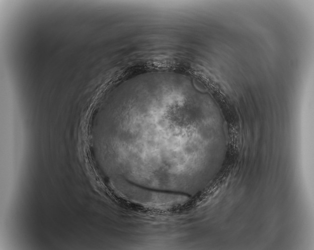 X0000095891009200801181221