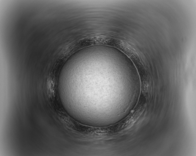 X0000095891010200801181221