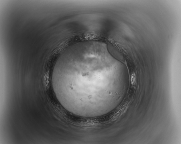 X0000095891011200801181221