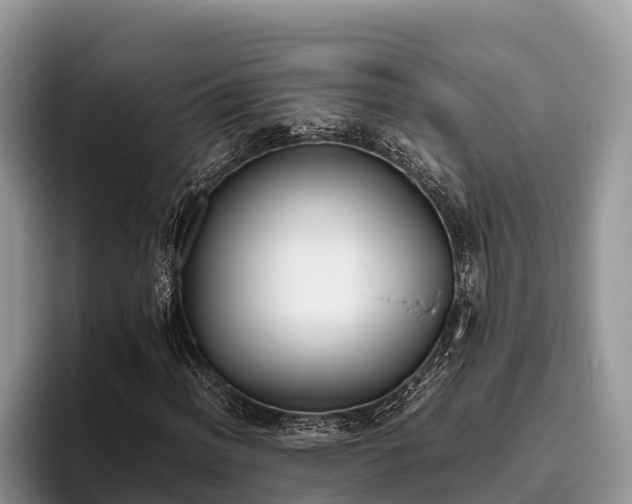 X0000095891012200801181221