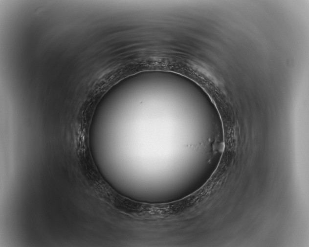 X0000095891013200801181221