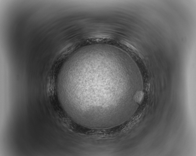 X0000095891014200801181221