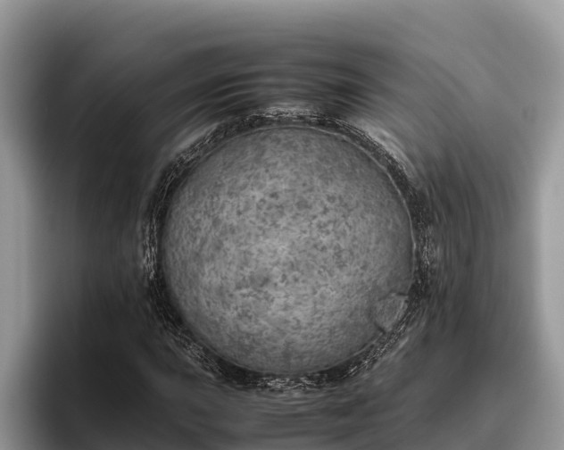 X0000095891015200801181221