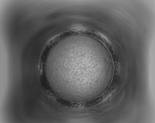 X0000095891016200801181221