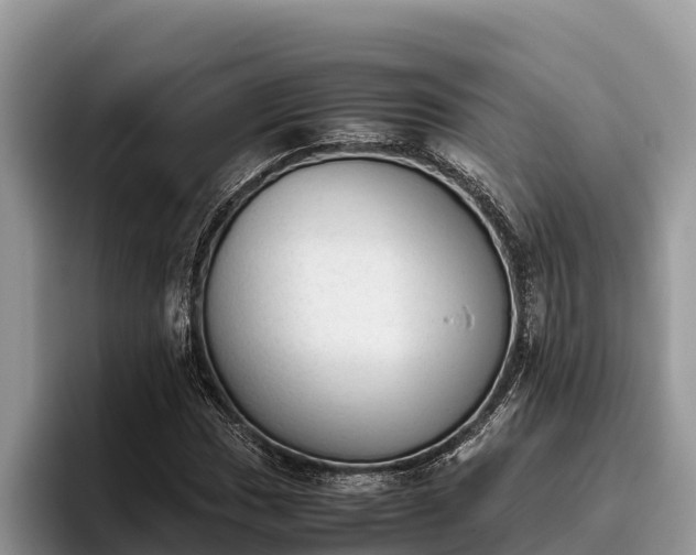 X0000095891017200801181221