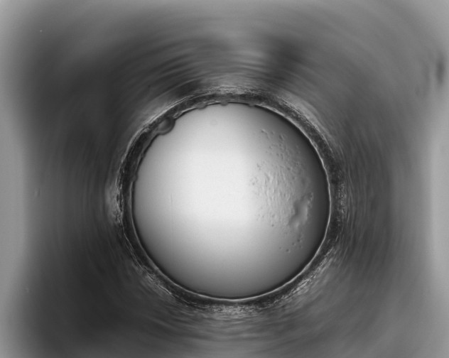X0000095891018200801181221