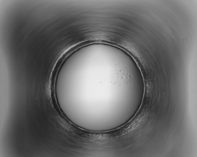 X0000095891020200801181221