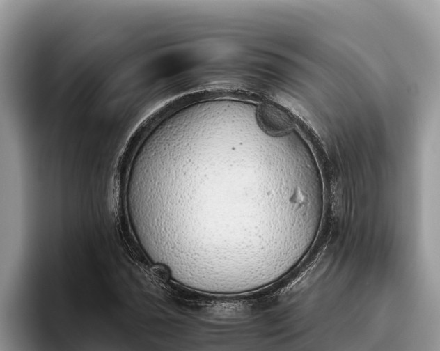 X0000095891021200801181221