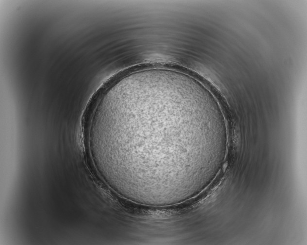 X0000095891022200801181221