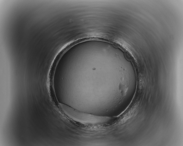 X0000095891024200801181221