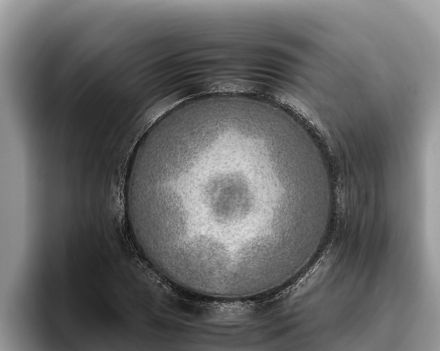 X0000095891025200801181221