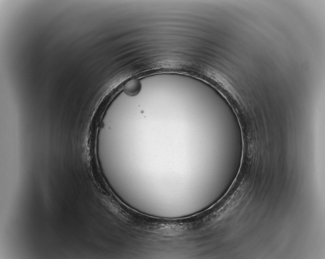 X0000095891026200801181221