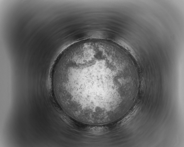 X0000095891027200801181221