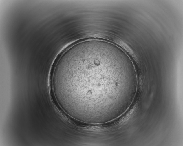 X0000095891028200801181221