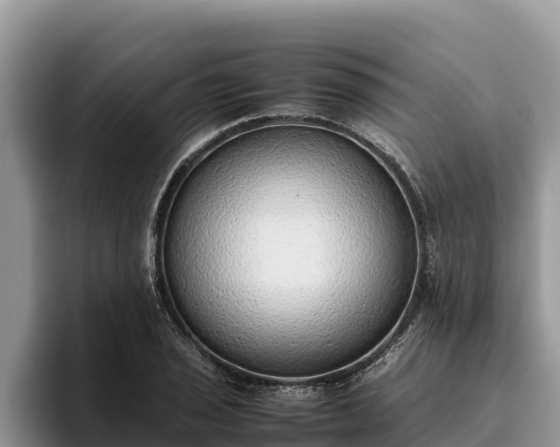 X0000095891029200801181221
