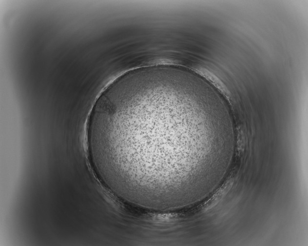 X0000095891031200801181221