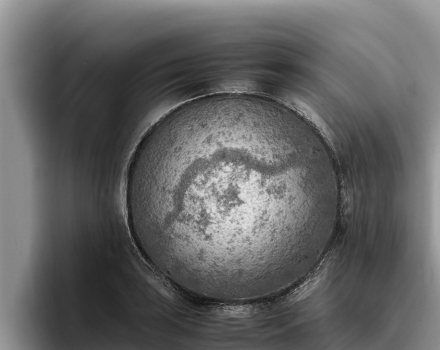 X0000095891035200801181221