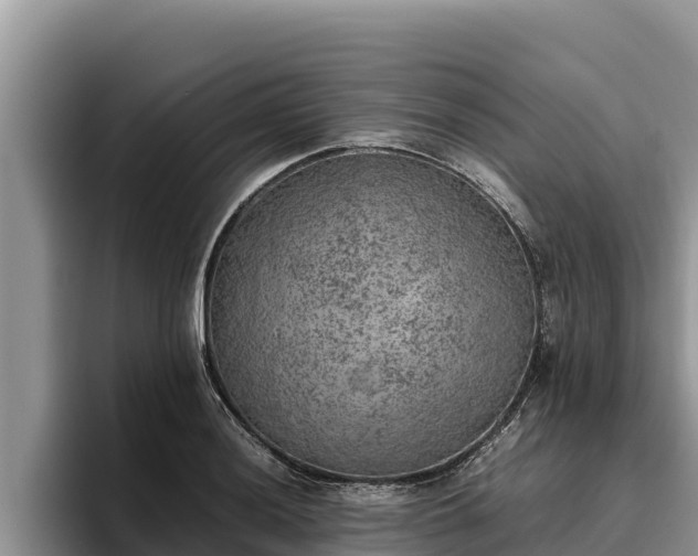 X0000095891036200801181221