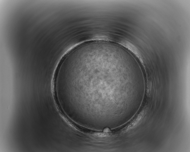 X0000095891037200801181221