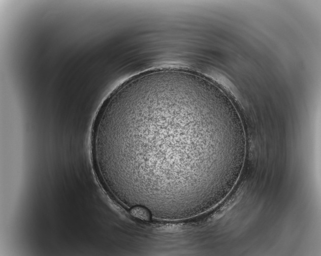 X0000095891038200801181221
