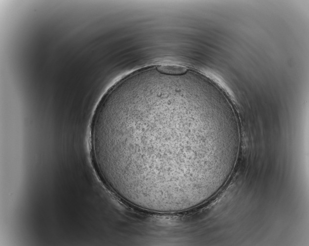 X0000095891040200801181221