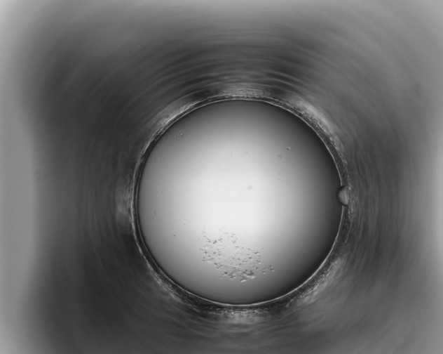 X0000095891041200801181221