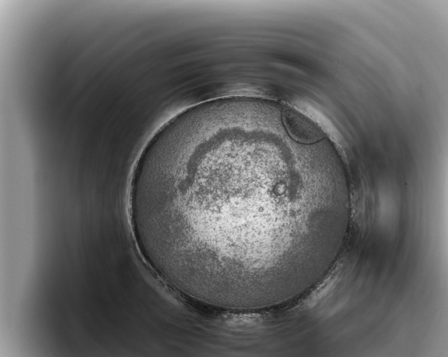 X0000095891043200801181222