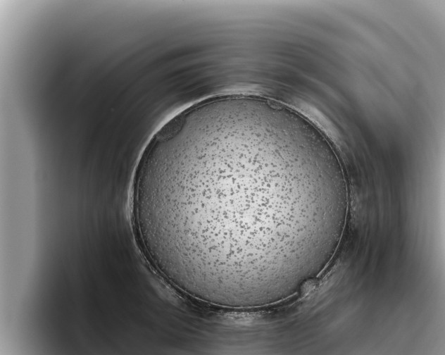 X0000095891044200801181222