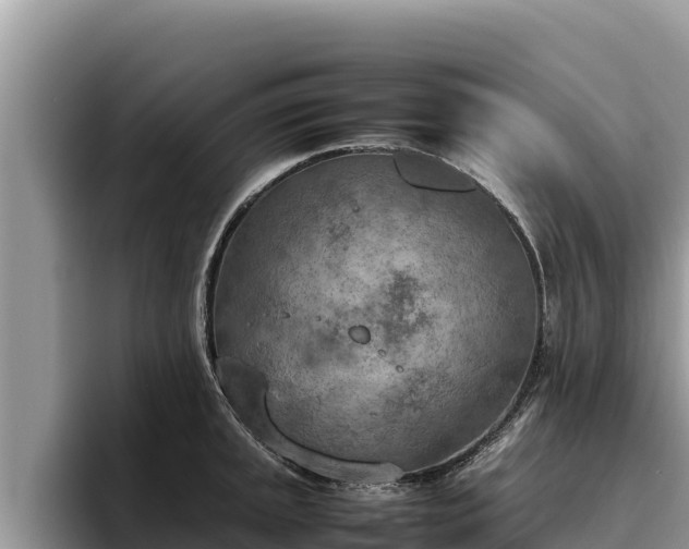 X0000095891045200801181222