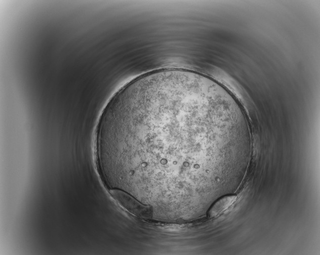 X0000095891048200801181222