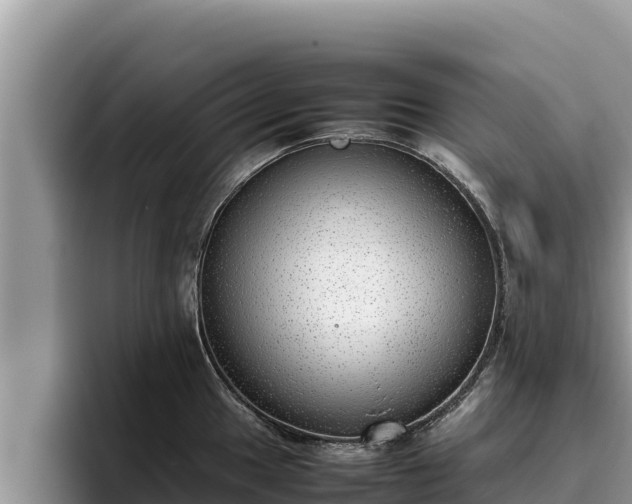 X0000095891049200801181222