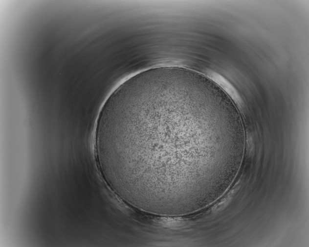 X0000095891052200801181222