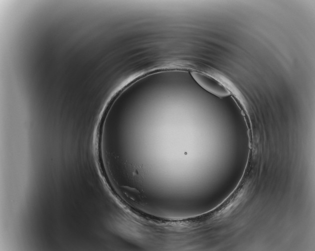 X0000095891053200801181222