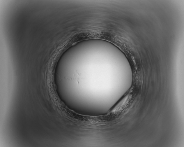 X0000095891057200801181221
