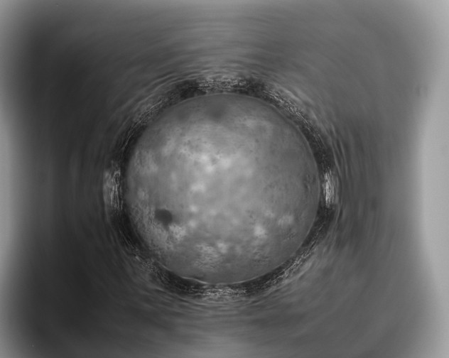 X0000095891059200801181221