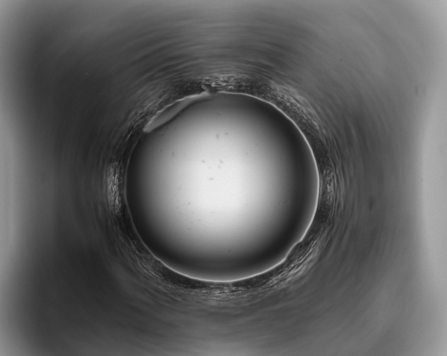 X0000095891060200801181221