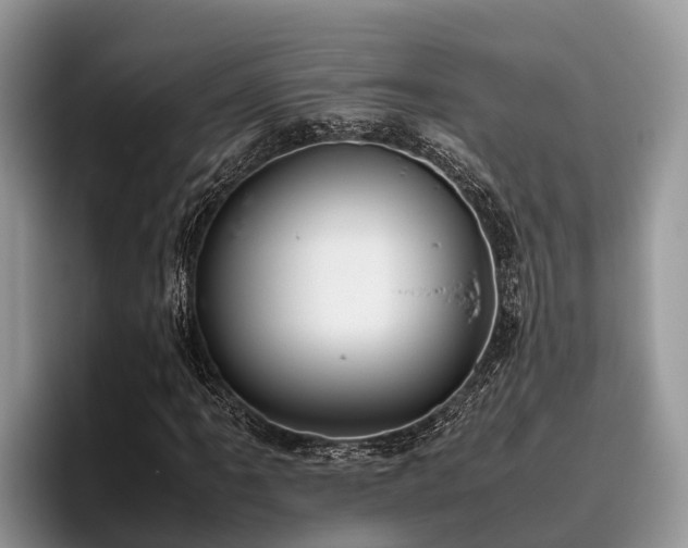 X0000095891061200801181221