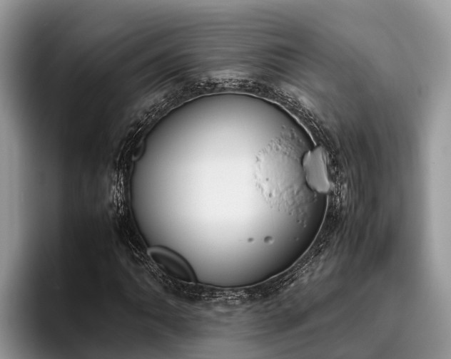 X0000095891062200801181221