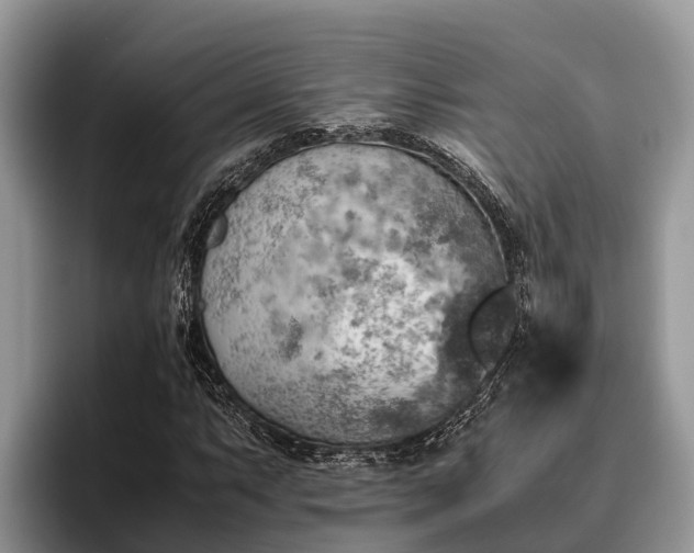 X0000095891063200801181221