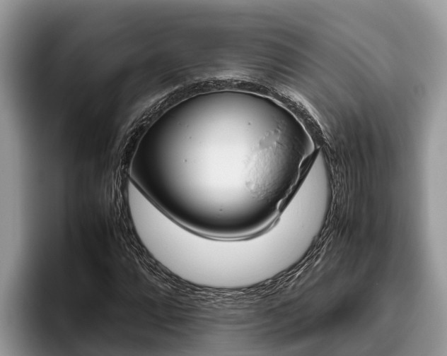 X0000095891064200801181221