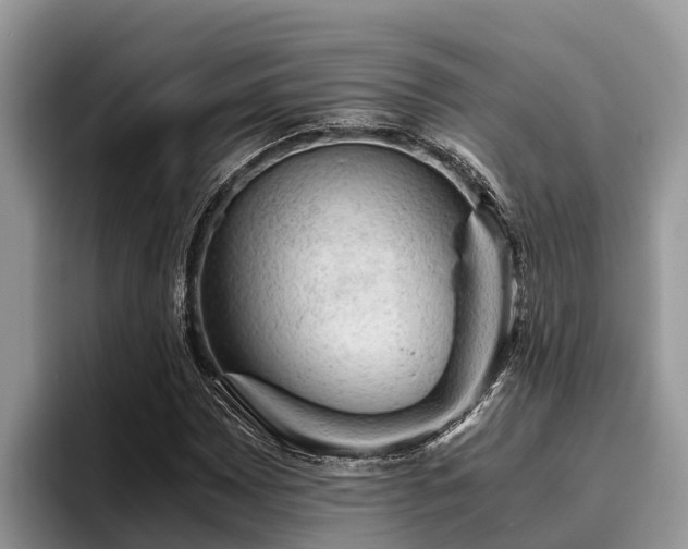 X0000095891065200801181221