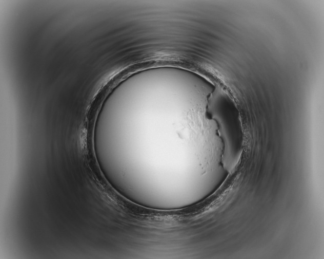 X0000095891066200801181221