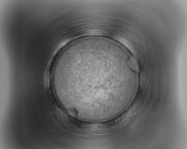 X0000095891067200801181221